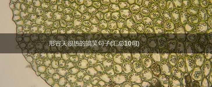 形容天很热的搞笑句子(汇总10句),第1张