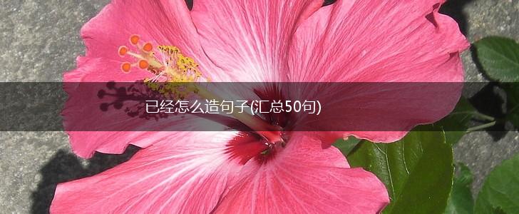 已经怎么造句子(汇总50句),第1张
