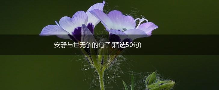 安静与世无争的句子(精选50句),第1张