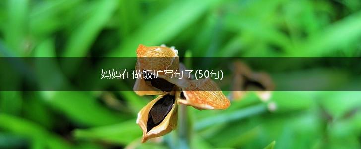妈妈在做饭扩写句子(50句),第1张