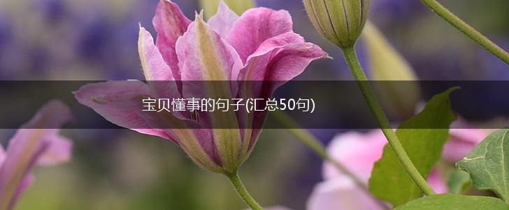 宝贝懂事的句子(汇总50句),第1张