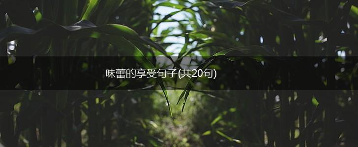 味蕾的享受句子(共20句),第1张