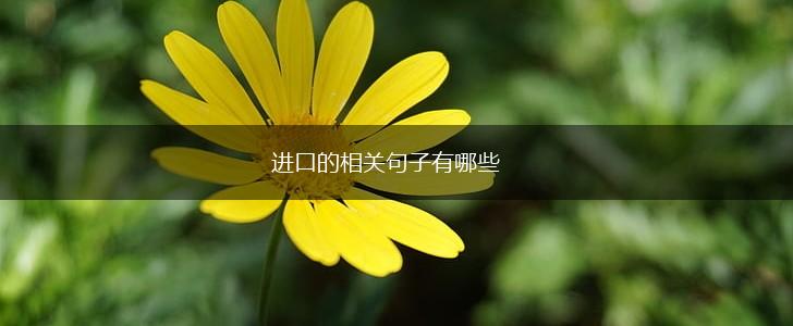 进口的相关句子有哪些,第1张 进口的相关句子有哪些,第1张