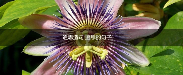 追思造句 追思的句子,第1张 追思造句 追思的句子,第1张