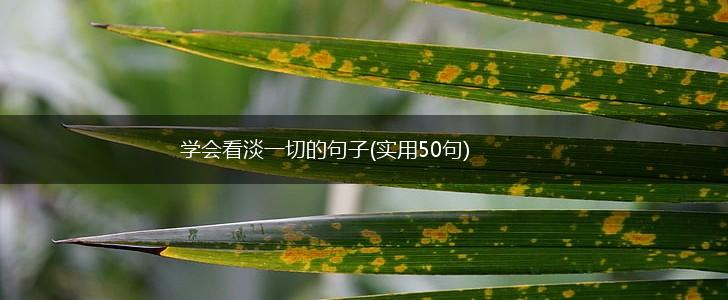 学会看淡一切的句子(实用50句),第1张
