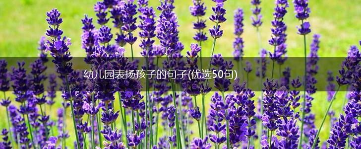 幼儿园表扬孩子的句子(优选50句),第1张