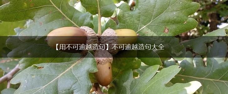 【用不可逾越造句】不可逾越造句大全,第1张