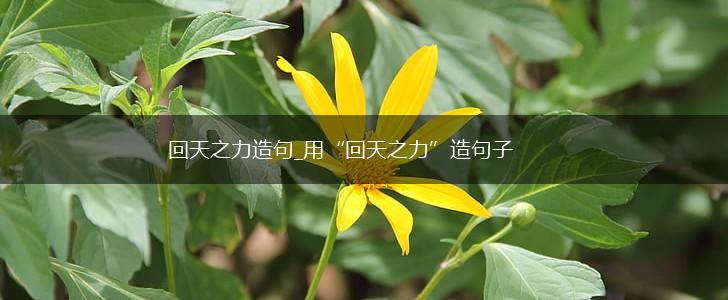 回天之力造句_用“回天之力”造句子,第1张 回天之力造句_用“回天之力”造句子,第1张