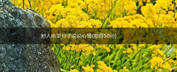 对人绝望句子说说心情(推荐50句),第1张