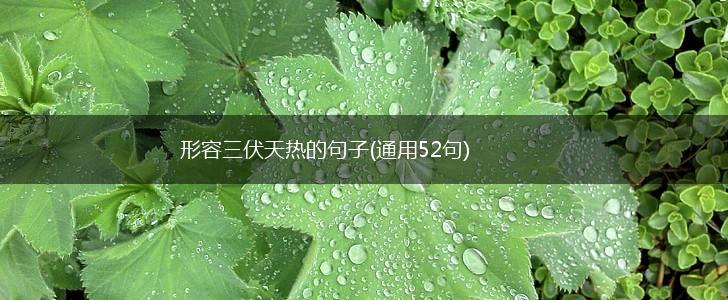 形容三伏天热的句子(通用52句),第1张
