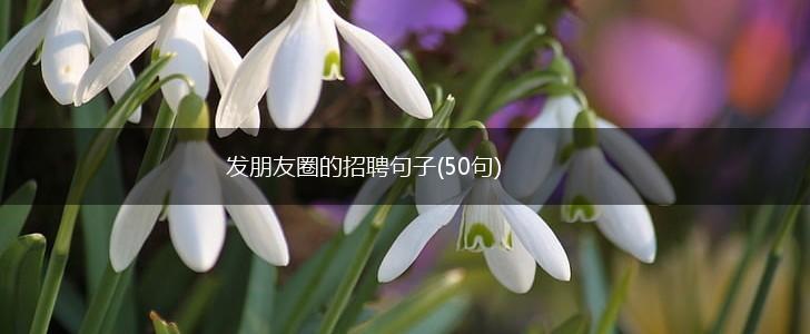 发朋友圈的招聘句子(50句),第1张