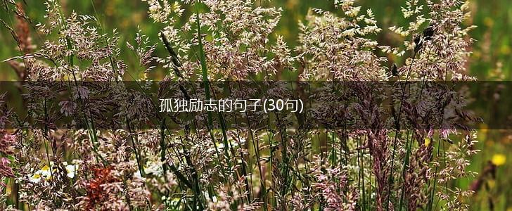 孤独励志的句子(30句),第1张