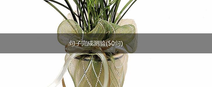 句子完成测验(50句),第1张