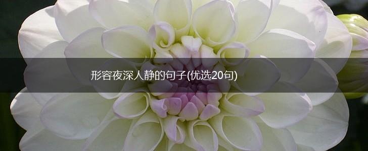 形容夜深人静的句子(优选20句),第1张