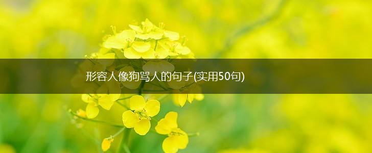 形容人像狗骂人的句子(实用50句),第1张
