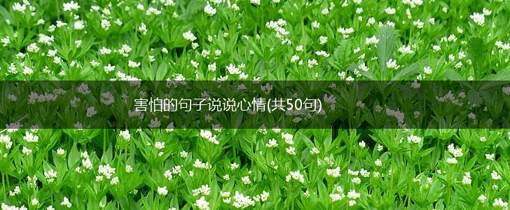 害怕的句子说说心情(共50句),第1张
