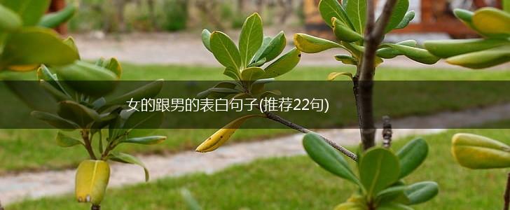 女的跟男的表白句子(推荐22句),第1张