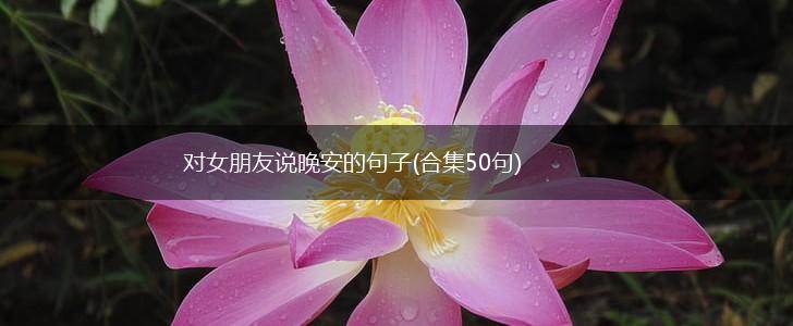 对女朋友说晚安的句子(合集50句),第1张