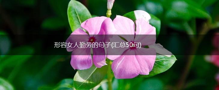 形容女人勤劳的句子(汇总50句),第1张