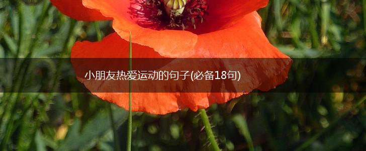 小朋友热爱运动的句子(必备18句),第1张