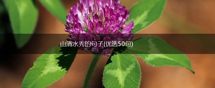 山清水秀的句子(优选50句),第1张