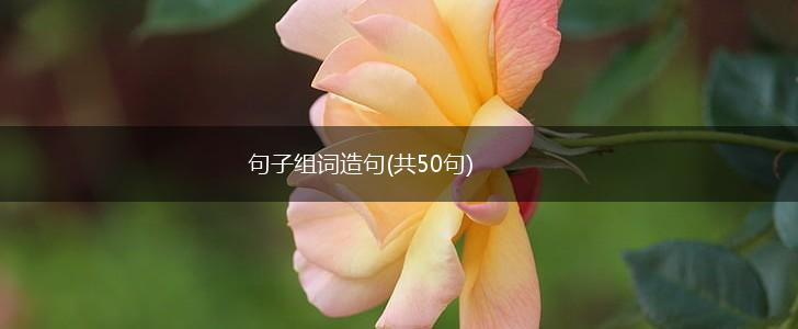 句子组词造句(共50句),第1张