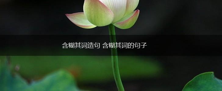 含糊其词造句 含糊其词的句子,第1张 含糊其词造句 含糊其词的句子,第1张