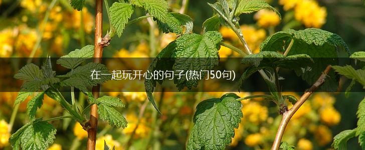 在一起玩开心的句子(热门50句),第1张