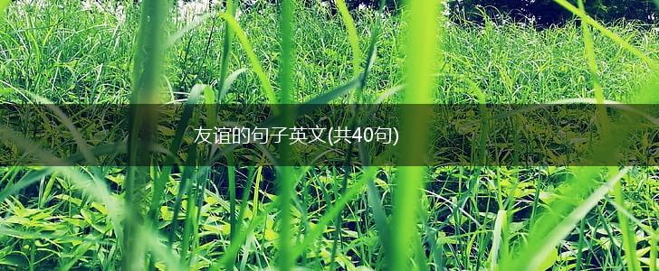友谊的句子英文(共40句),第1张