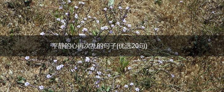 平静的心再次乱的句子(优选20句),第1张