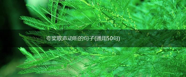 夸奖歌声动听的句子(通用50句),第1张