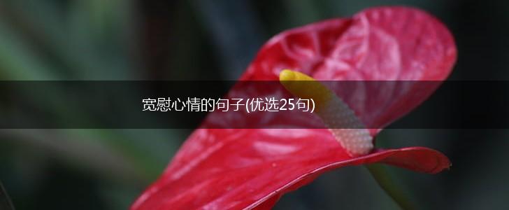 宽慰心情的句子(优选25句),第1张