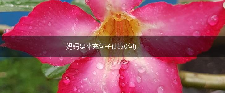妈妈是补充句子(共50句),第1张