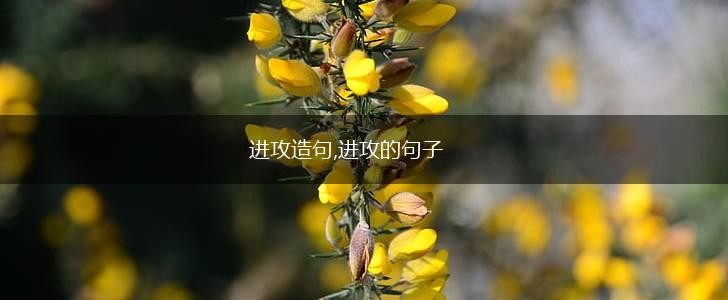 进攻造句,进攻的句子,第1张 进攻造句,进攻的句子,第1张