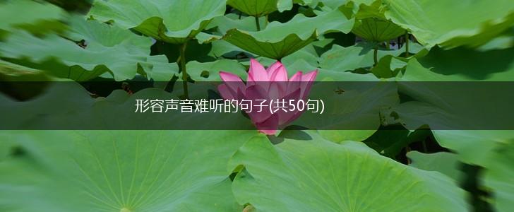 形容声音难听的句子(共50句),第1张