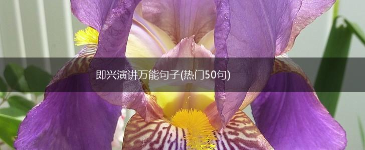 即兴演讲万能句子(热门50句),第1张