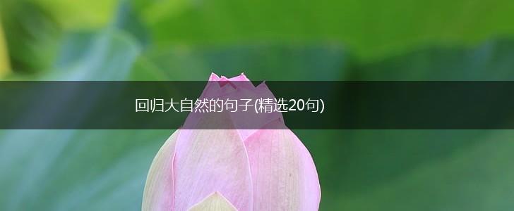 回归大自然的句子(精选20句),第1张