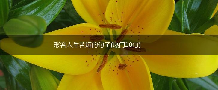 形容人生苦短的句子(热门10句),第1张