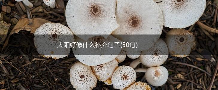 太阳好像什么补充句子(50句),第1张