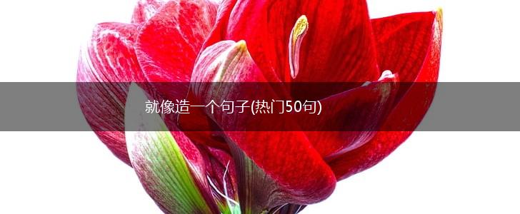 就像造一个句子(热门50句),第1张