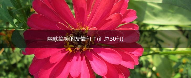 幽默搞笑的友情句子(汇总30句),第1张