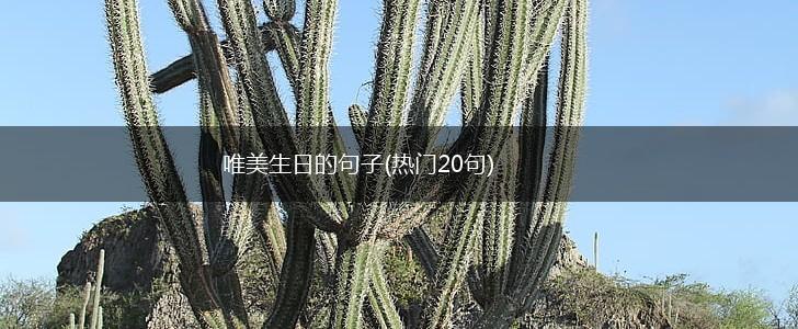 唯美生日的句子(热门20句),第1张