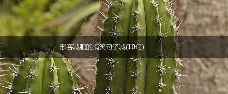 形容减肥的搞笑句子减(10句),第1张