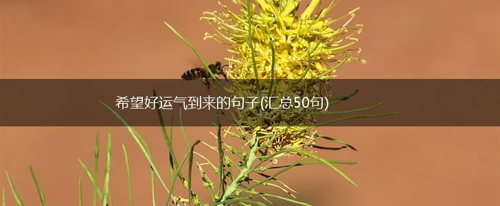 希望好运气到来的句子(汇总50句),第1张