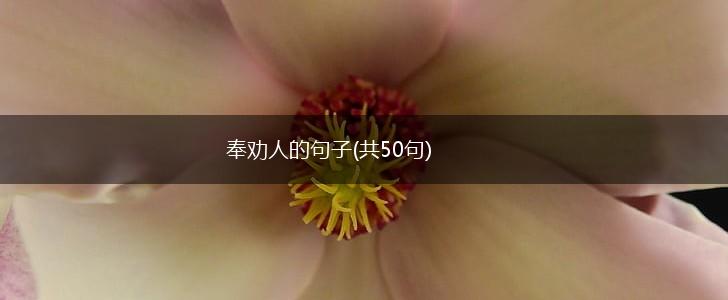 奉劝人的句子(共50句),第1张