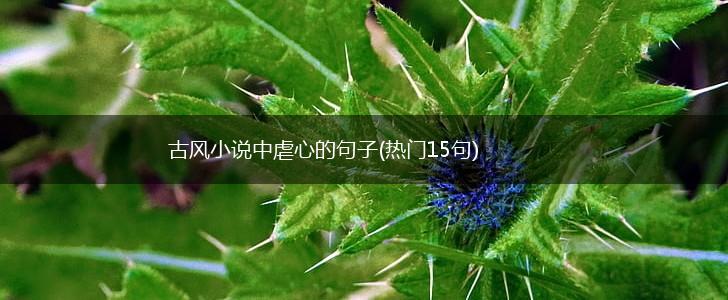 古风小说中虐心的句子(热门15句),第1张