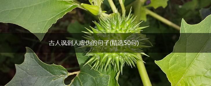 古人讽刺人虚伪的句子(精选50句),第1张