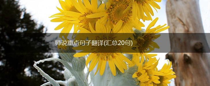 师说重点句子翻译(汇总20句),第1张
