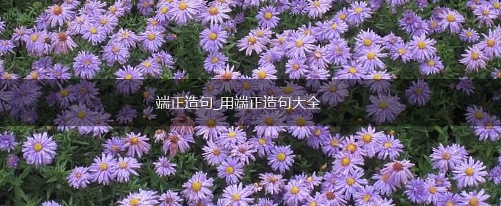 端正造句_用端正造句大全,第1张