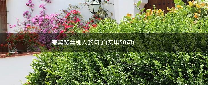 夸奖赞美别人的句子(实用50句),第1张